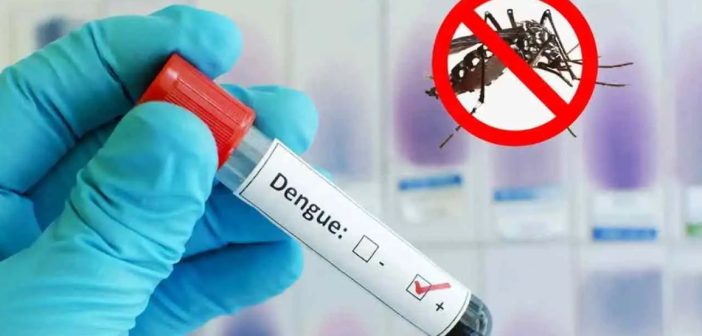 5 people die of dengue in a day, 839 hospitalized