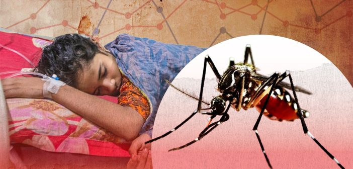 4 more people die of dengue, 1,972 hospitalized